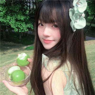 大象家族